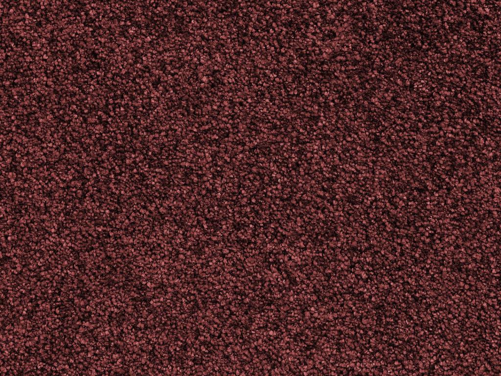 Urbana rot Detail