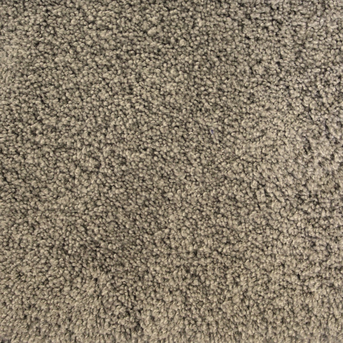 Harmony Farbe sand
