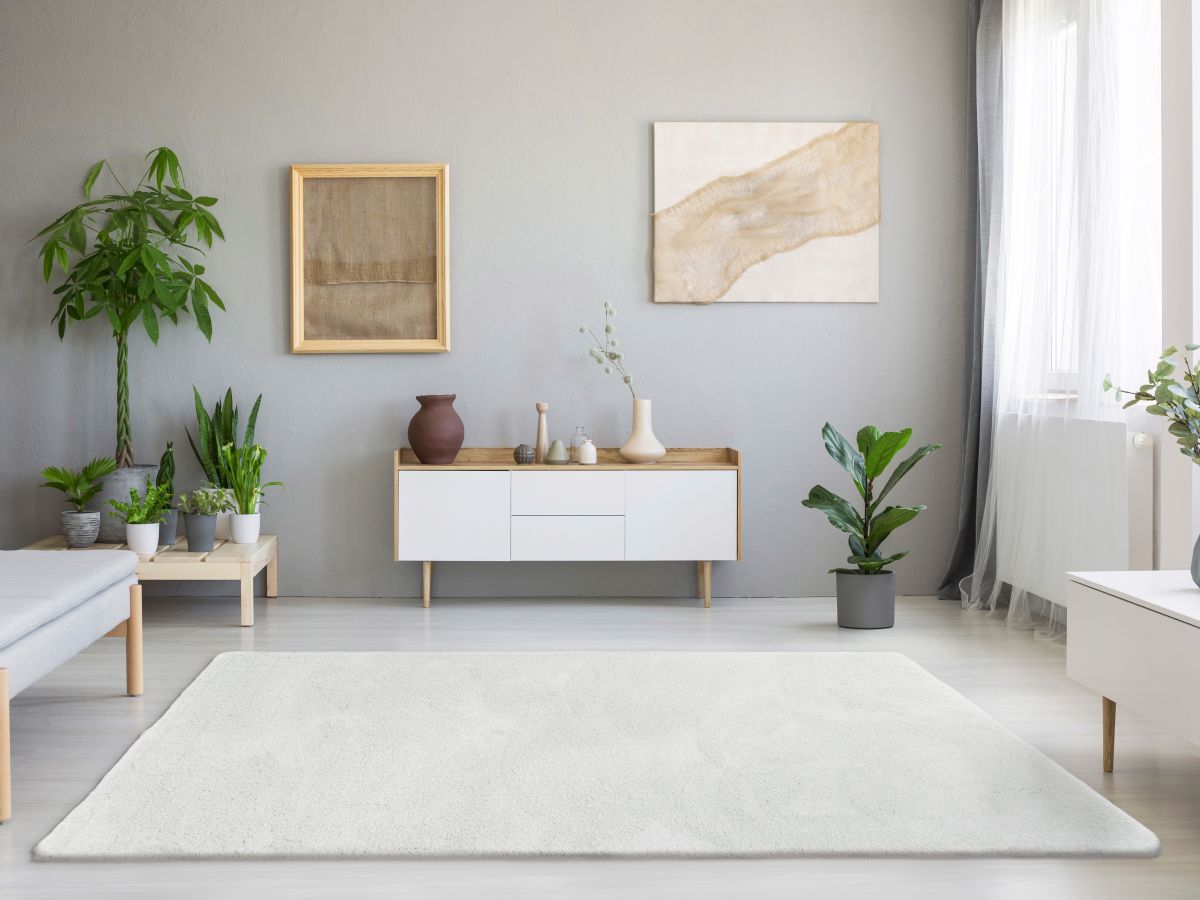 Hochflorteppich Lucida Creme Milieubild