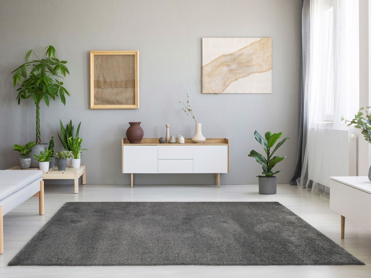 Hochflorteppich Lucida Grau Milieubild