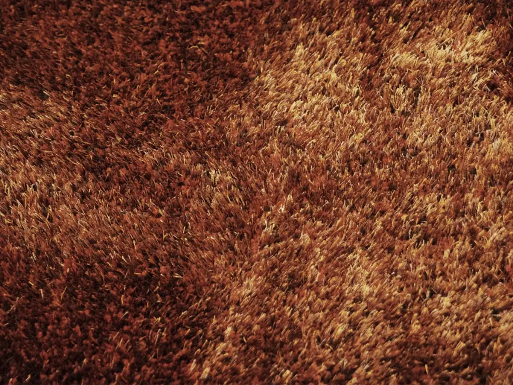 Nahaufnahme eines Sensit orange Hochflorteppichs