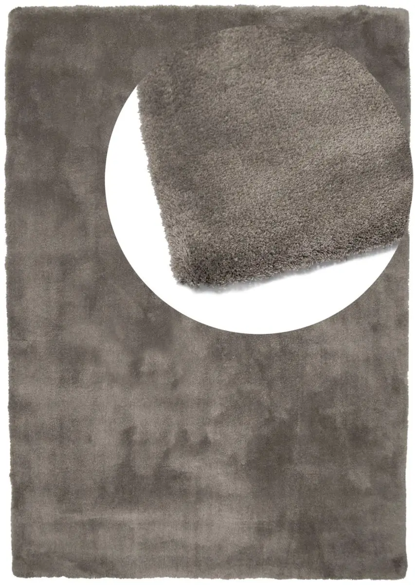 Lomani Taupe Draufsicht mit Lupe