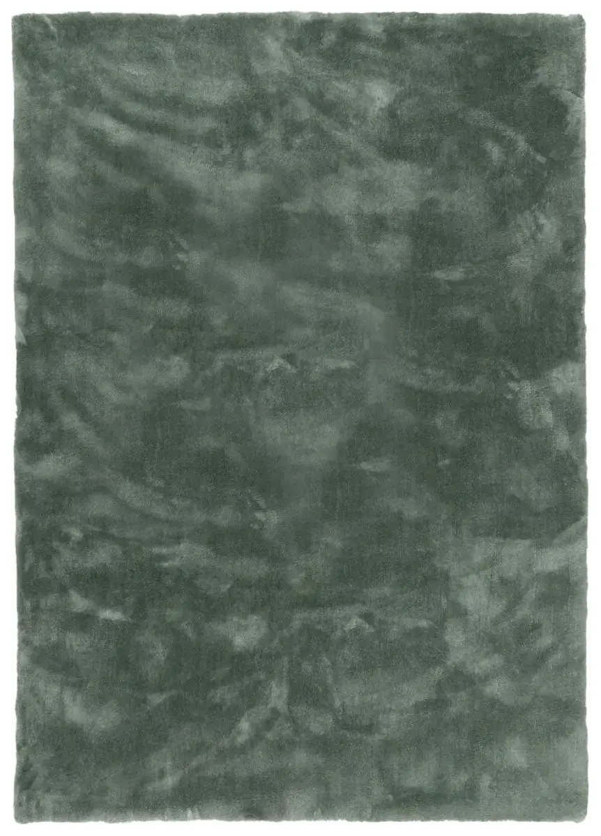 Lomani Türkis Draufsicht