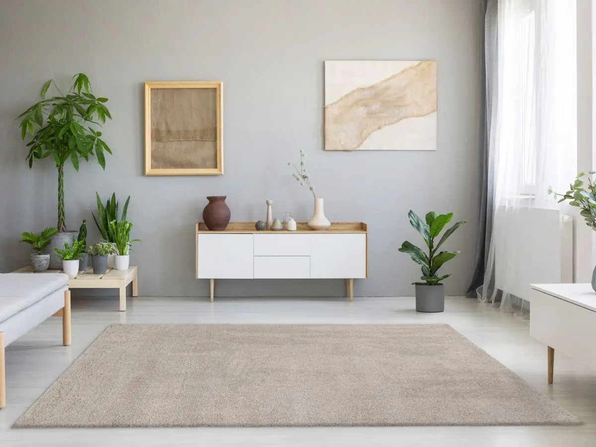 Hochflorteppich Lucida Beige Milieu