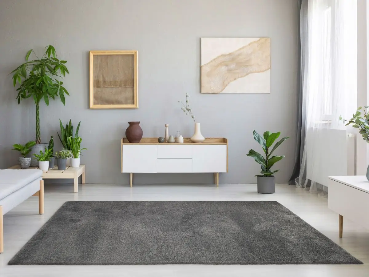 Hochflorteppich Lucida Grau Milieubild